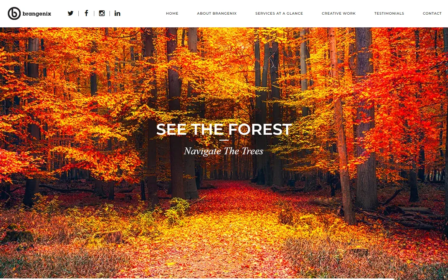 Brangenix website, desktop view